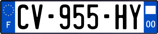 CV-955-HY