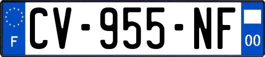 CV-955-NF