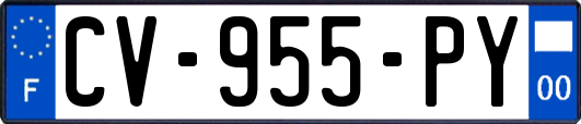 CV-955-PY