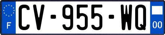 CV-955-WQ