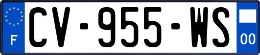CV-955-WS