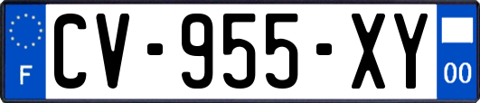 CV-955-XY