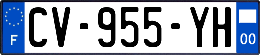 CV-955-YH