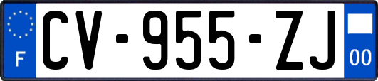 CV-955-ZJ