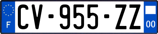 CV-955-ZZ