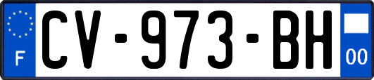 CV-973-BH