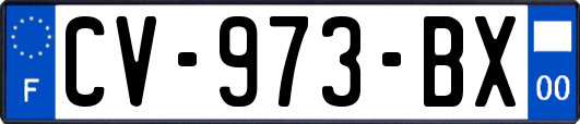 CV-973-BX