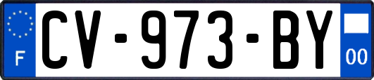 CV-973-BY