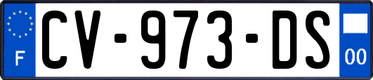 CV-973-DS