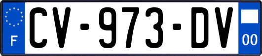 CV-973-DV