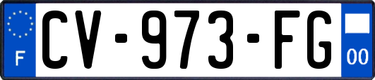 CV-973-FG