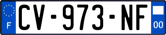 CV-973-NF