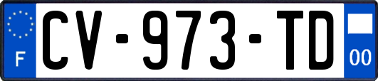 CV-973-TD