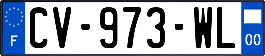 CV-973-WL