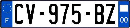 CV-975-BZ