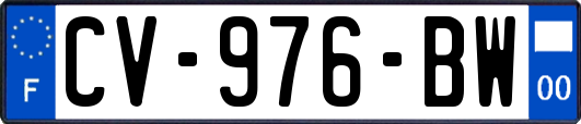CV-976-BW