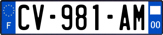 CV-981-AM