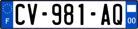 CV-981-AQ