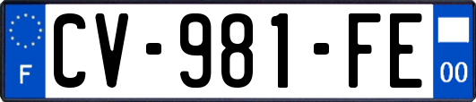 CV-981-FE