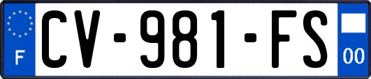 CV-981-FS