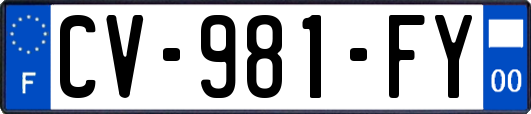CV-981-FY