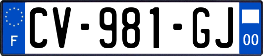 CV-981-GJ