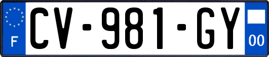 CV-981-GY