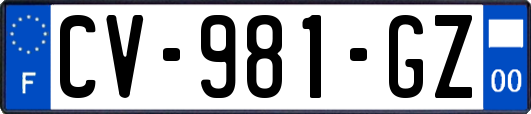 CV-981-GZ