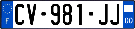 CV-981-JJ