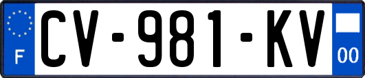 CV-981-KV