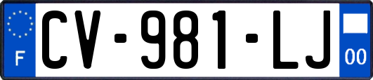 CV-981-LJ
