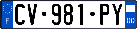 CV-981-PY