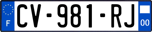 CV-981-RJ