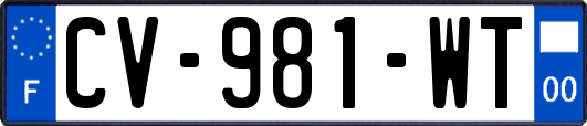 CV-981-WT