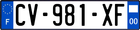 CV-981-XF