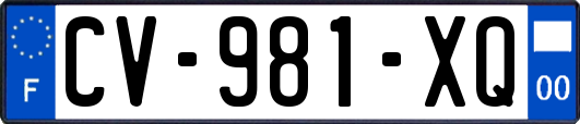 CV-981-XQ