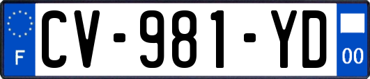 CV-981-YD