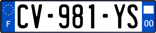 CV-981-YS