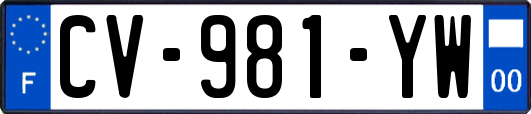 CV-981-YW