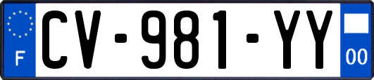 CV-981-YY