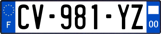 CV-981-YZ