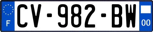 CV-982-BW