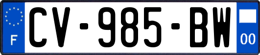CV-985-BW