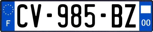 CV-985-BZ