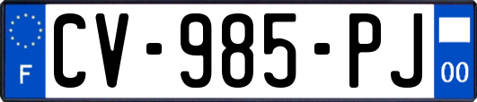 CV-985-PJ