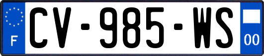 CV-985-WS