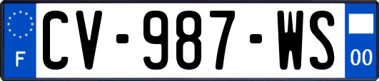 CV-987-WS