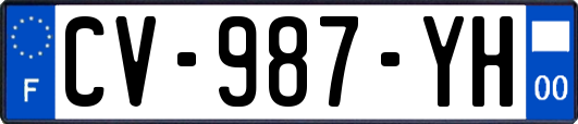 CV-987-YH