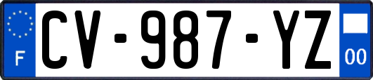 CV-987-YZ