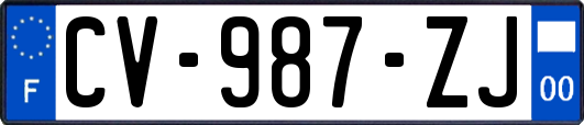 CV-987-ZJ